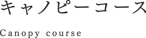 キャノピーコース Canopy course