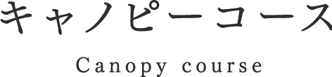 キャノピーコース Canopy course