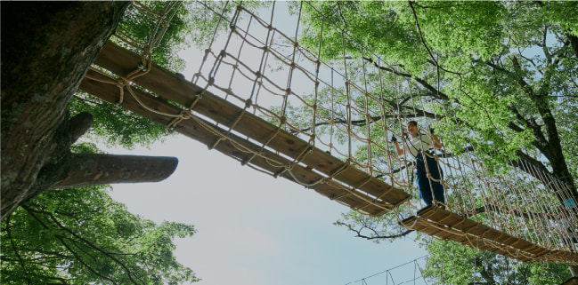 フォレストアドベンチャーとは