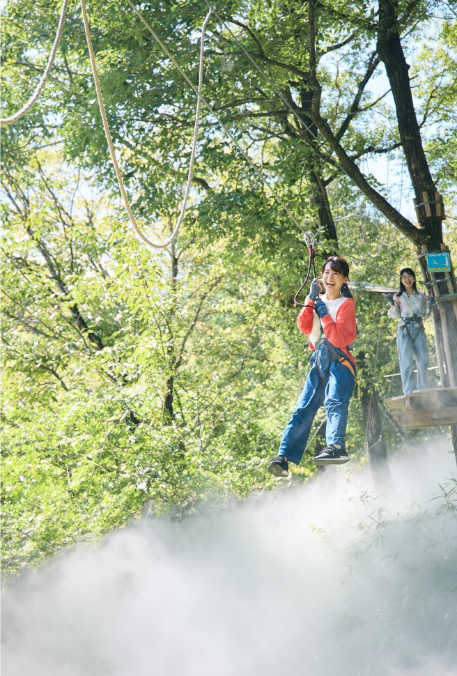 雲海の森イメージ写真